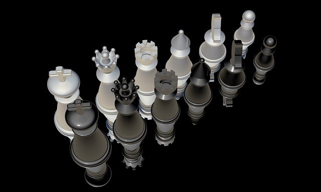 The Art of Collecting: Building Your Own Miniature World